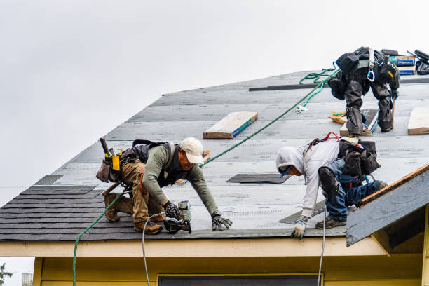 Professional Gutter Installation technician working in Bridgeport, TX